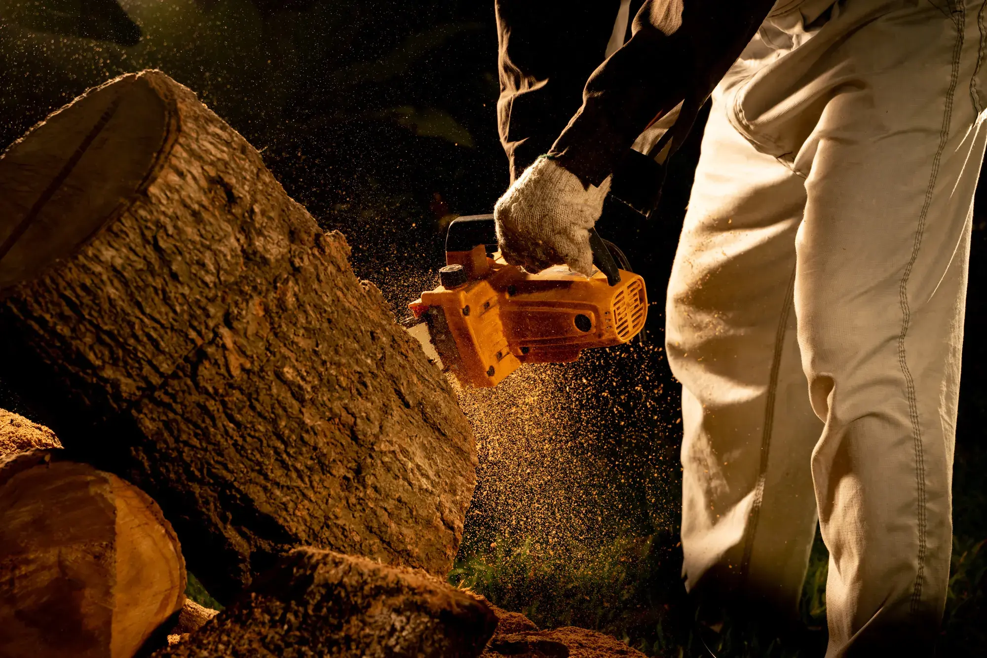 Emergency Tree Removal Service