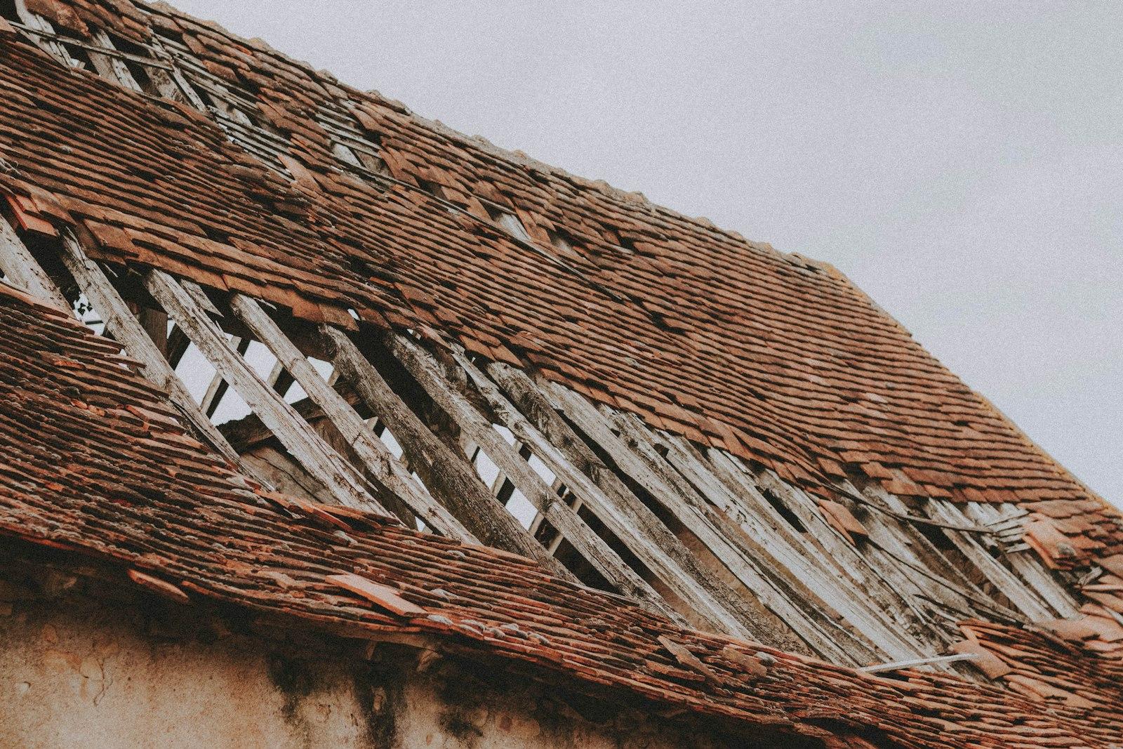 Brown and white wooden house